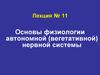 Физиология вегетативной нервной системы. (Лекция 11)