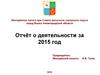 Отчет о деятельности за 2015 г. Молодёжная палата при Совете депутатов городского округа г. Выкса Нижегородской обл