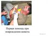 Первая помощь при повреждении живота