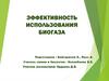 Альтернативные источники энергии. Эффективность использования биогаза