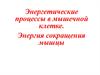 Энергетические процессы в мышечной клетке. Энергия сокращения мышцы