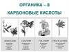 Карбоновые кислоты