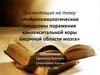 Нейропсихологические синдромы поражения конвекситальной коры височной области мозга