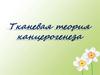 Тканевая теория канцерогенеза