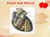 Heart and Blood