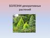 Болезни декоративных растений