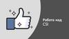 Работа над CSI