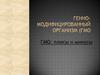Генно-модифицированный организм (ГМО). Плюсы и минусы