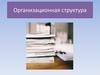 Организационная структура