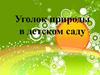 Уголок природы в детском саду