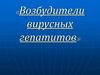 Возбудители вирусных гепатитов
