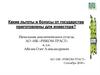 Какие льготы и бонусы от государства приготовлены для инвестора?
