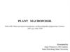 Plant macrofossil