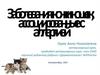 Заболевания кожи кошек, ассоциированные с аллергией