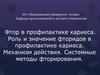 Фтор в профилактике кариеса. Роль и значение фторидов в профилактике кариеса. Механизм действия. (Лекция 10)
