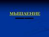 Мышление