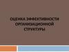 Оценка эффективности организационной структуры