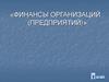 Финансы организаций