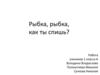 Рыбка, рыбка, как ты спишь. Чередование сна и бодрствования