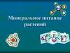Минеральное питание растений