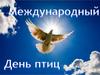 Международный день птиц