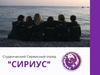 Студенческий сервисный отряд Сириус. Викторина