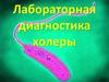 Лабораторная диагностика холеры
