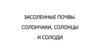 Засоленные почвы. Солончаки, солонцы и солоди