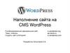 Наполнение сайта на CMS WordPress