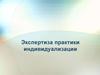 Экспертиза практики индивидуализации