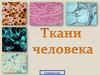 Ткани человека