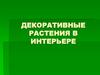 Декоративные растения в интерьере