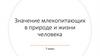 Значение млекопитающих в природе и жизни человека