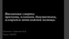 Внезапная смерть: причины, клиника, диагностика, алгоритм неотложной помощи