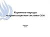 Коренные народы и правозащитная система ООН