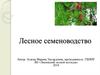 Семеношение деревьев и кустарников, способы его учета