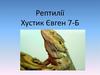 Рептилії. Життєві форми. Будова тіла
