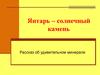 Янтарь – солнечный камень. Рассказ об удивительном минерале