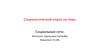 Социалогический опрос на тему: социальные сети