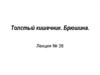 Толстый кишечник. Брюшина. Лекция № 38