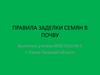Правила заделки семян в почву