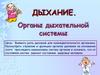 Дыхание. Органы дыхательной системы