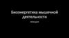 Биоэнергетика мышечной деятельности