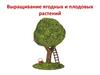 Выращивание ягодных и плодовых растений