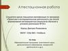 Аттестационная работа: Образовательная программа (элективного курса, дополнительного образования)