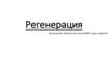 Регенерация. Виды репаративной регенерации