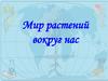 Многообразие мира растений