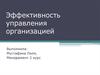 Эффективность управления организацией