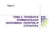 Теневая и криминальная экономика: понятие и структура