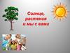 Солнце, растения, человек